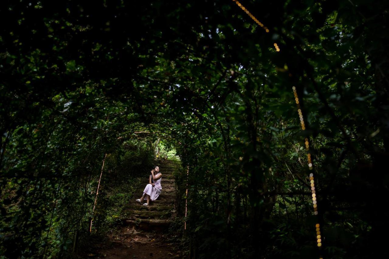 Raindrops Resorts Wayanad Sultan Bathery Ngoại thất bức ảnh