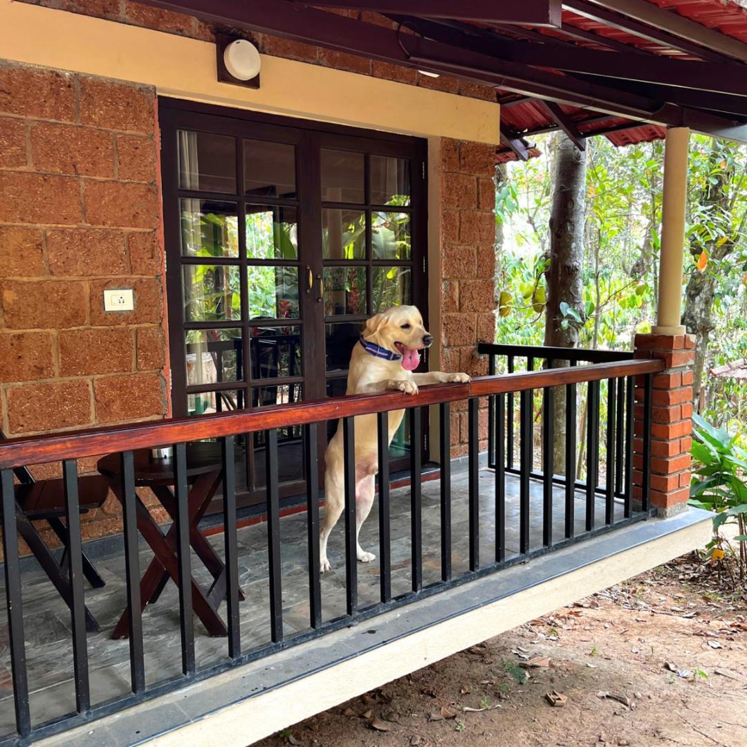 Raindrops Resorts Wayanad Sultan Bathery Ngoại thất bức ảnh