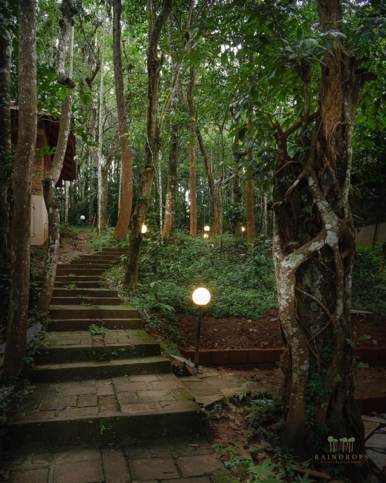 Raindrops Resorts Wayanad Sultan Bathery Ngoại thất bức ảnh